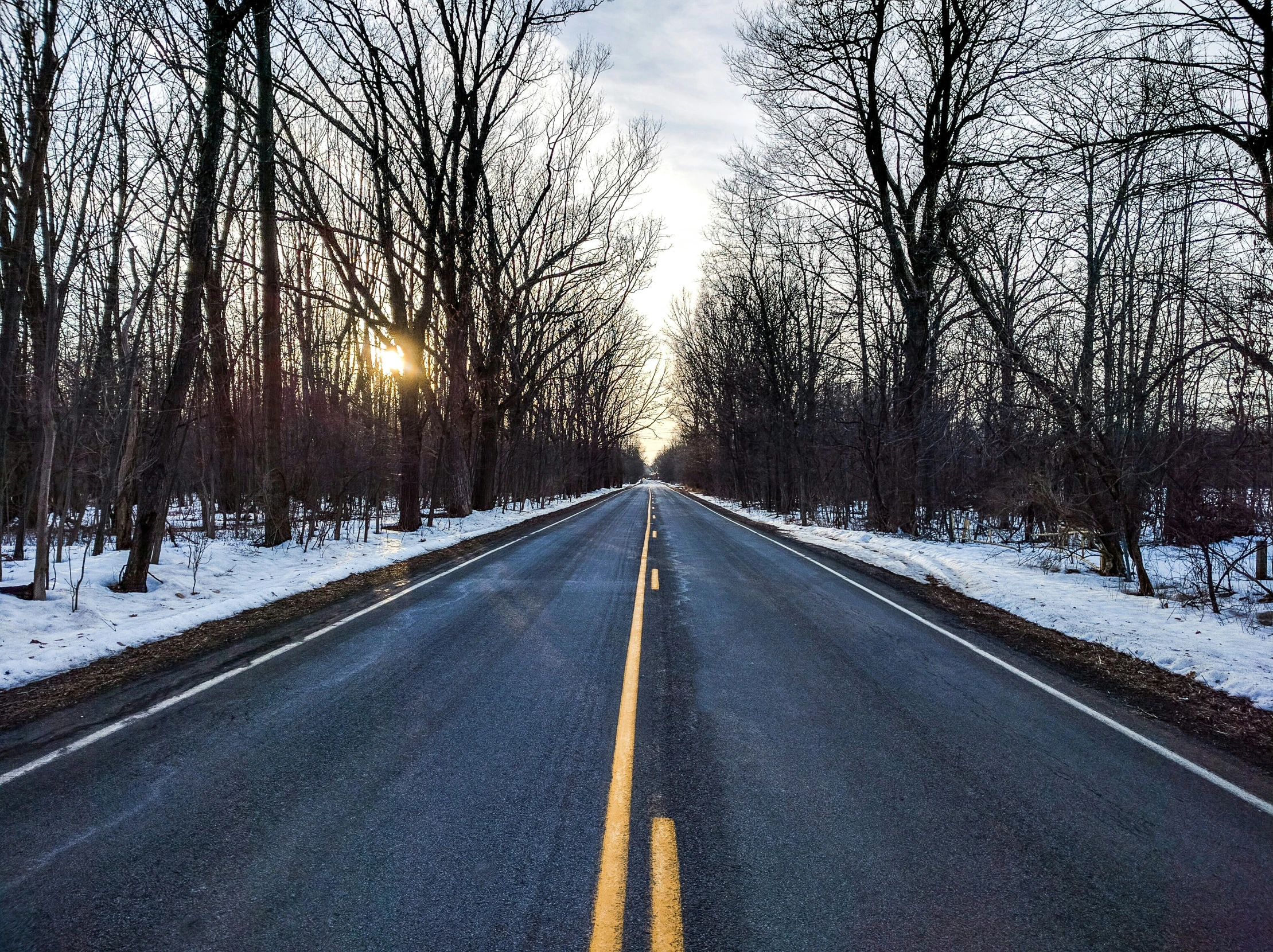 a tree lined road and road light in the evening