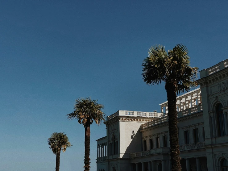 palm trees outside of a building on the beach