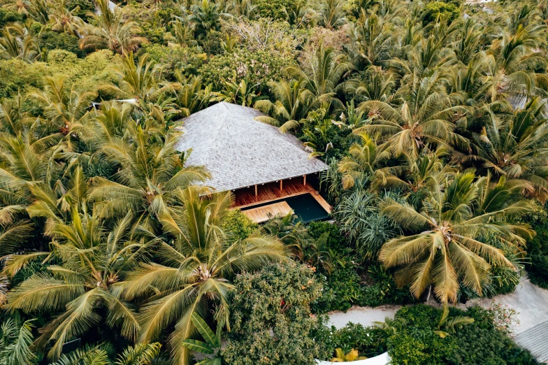 a building nestled among the palm trees