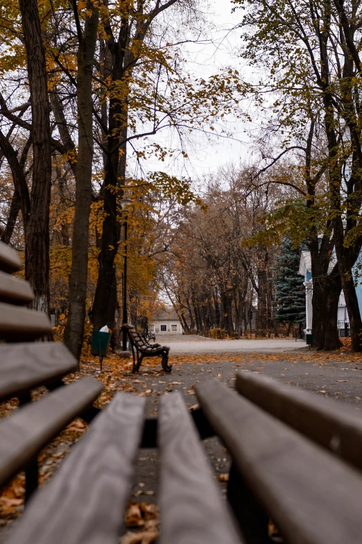 a couple of park benches that are in the grass