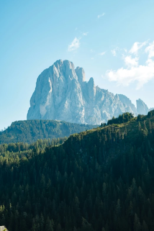 some animals grazing on a grassy field near a tall mountain