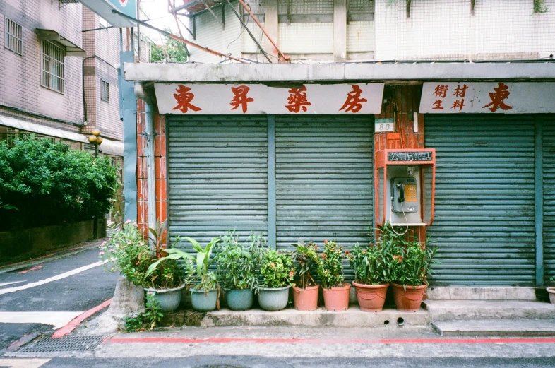 there are many potted plants on the street corner