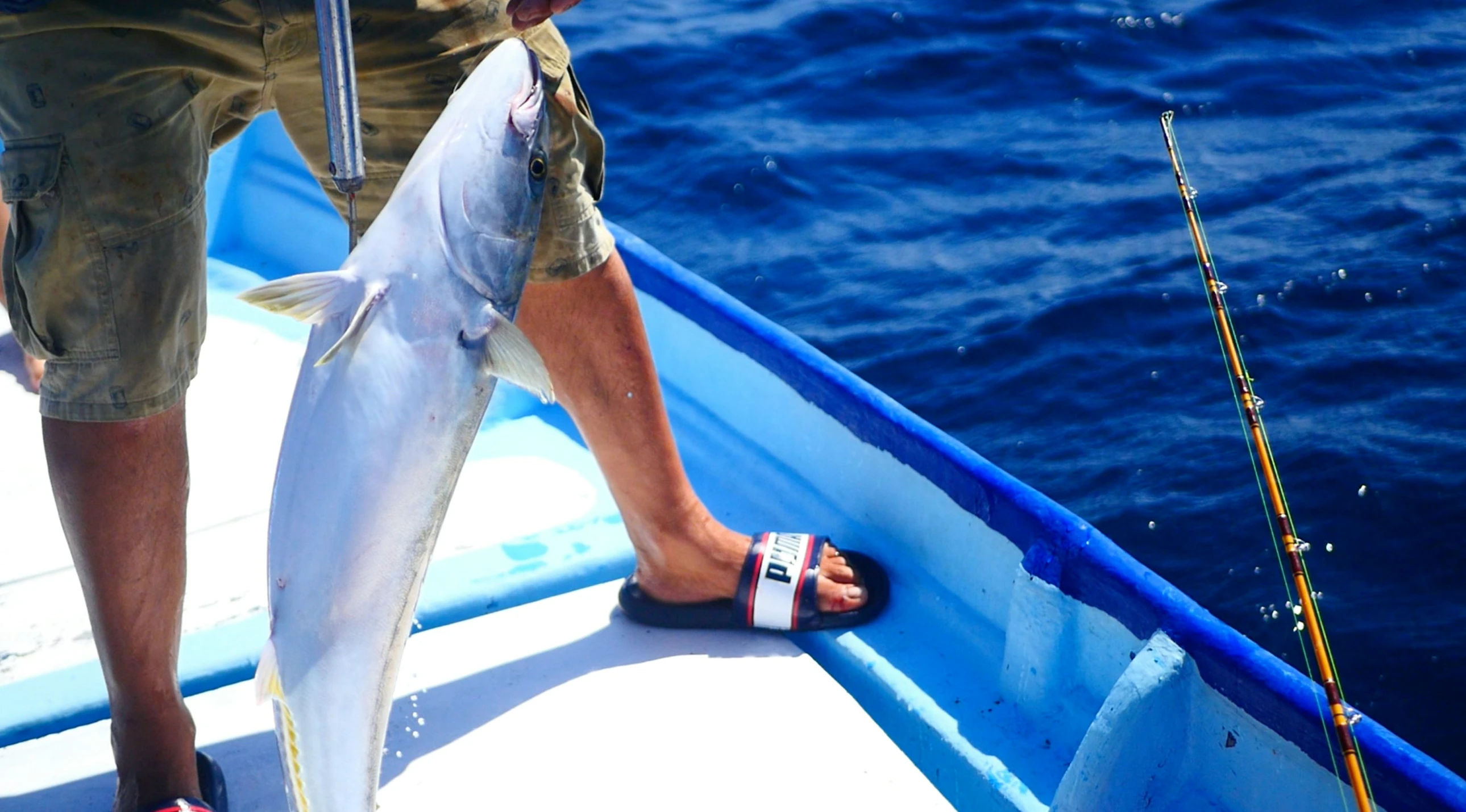 a man holding onto some fish and fishing