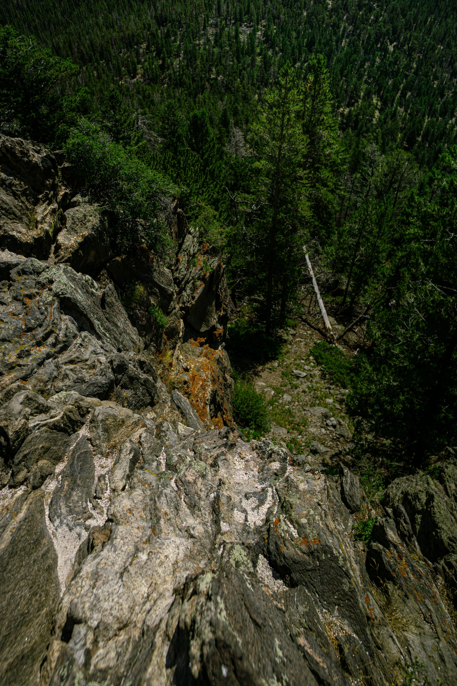 a very tall rocky outcrop with some trees in the background