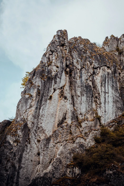 a tall rocky cliff has some vegetation growing up it