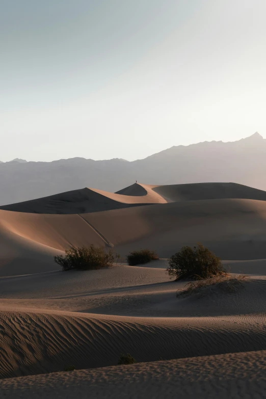 the sun is shining in this desert landscape