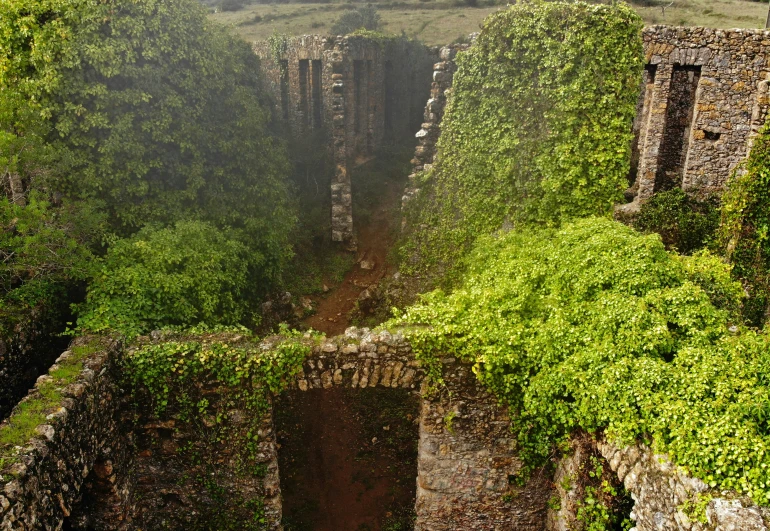 an old brick building is overgrown and overgrown