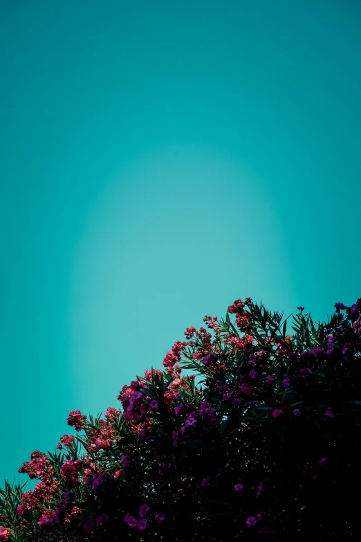 a plane flies over some trees in the night