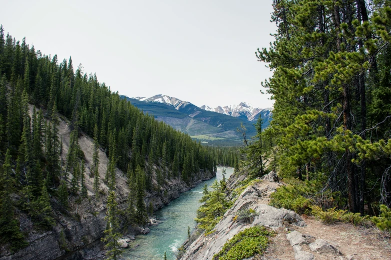 the river is running through the wilderness next to mountains