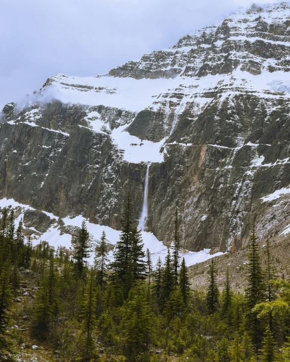 a mountain that has snow on top and some trees