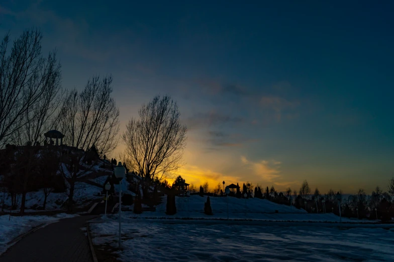 trees in the winter with sun just peeking up