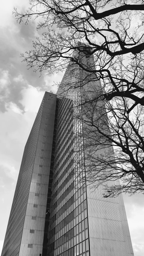 a tall building with many trees on it