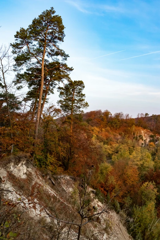 a view of the landscape from a cliff