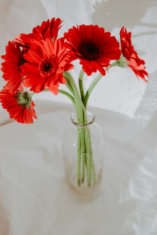 there are three red flowers in a vase