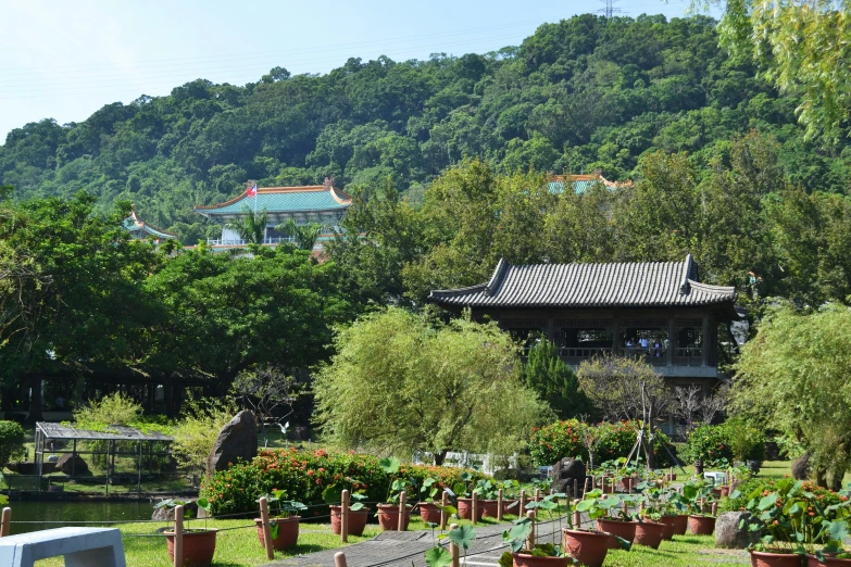 the garden has many flowers and trees around it