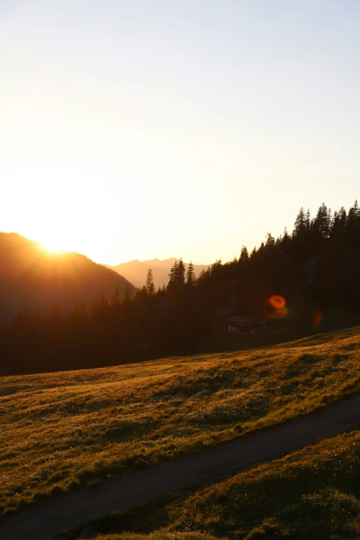 the sun rises behind the silhouette of trees as a man walks