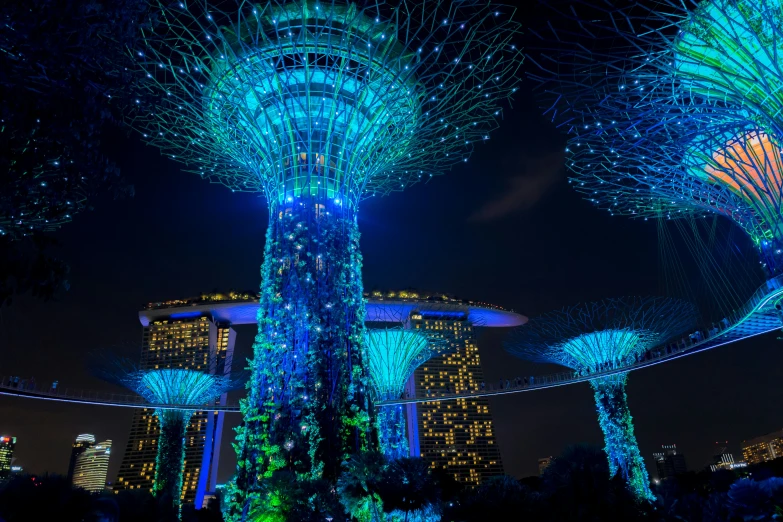 night time scene of giant tree in the singapore city