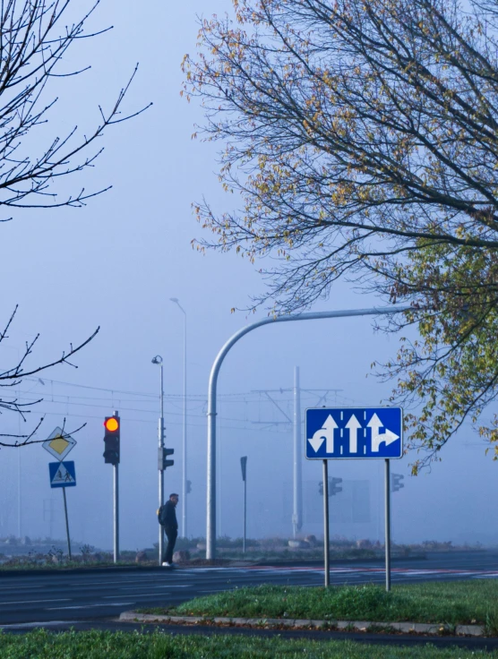 street lights are on the side of the road