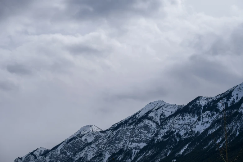 the large birds are flying close to the snowy mountains