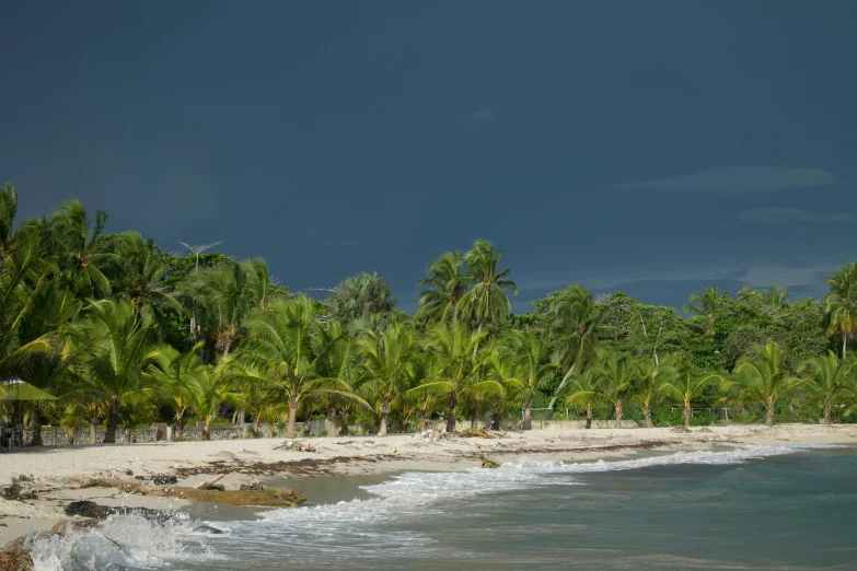 a tropical beach with palm trees lining it