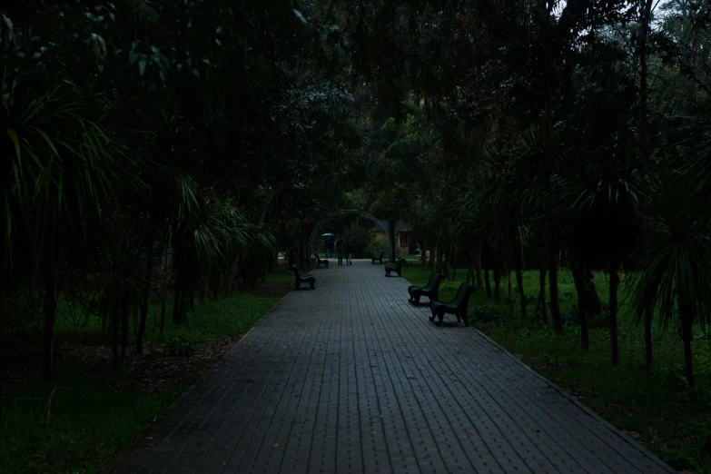 a row of benches sitting on top of a wooden walkway