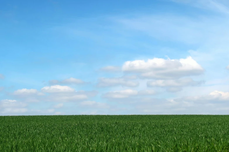 a green field with grass under a blue cloudy sky