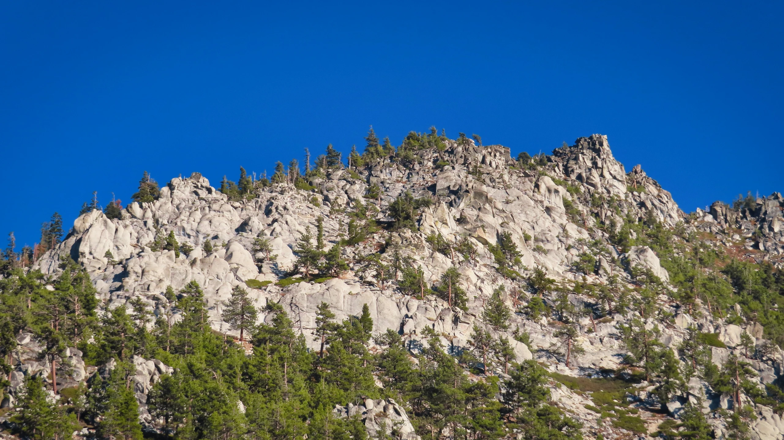 there is some large rock with many trees on top