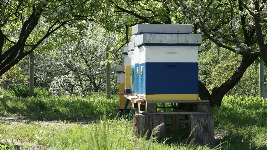 two boxes with blue and white covers are sitting in the grass