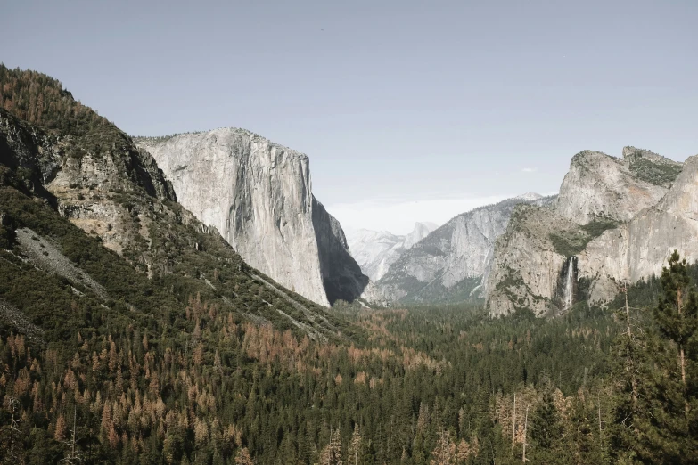 a view of some very tall trees near mountains