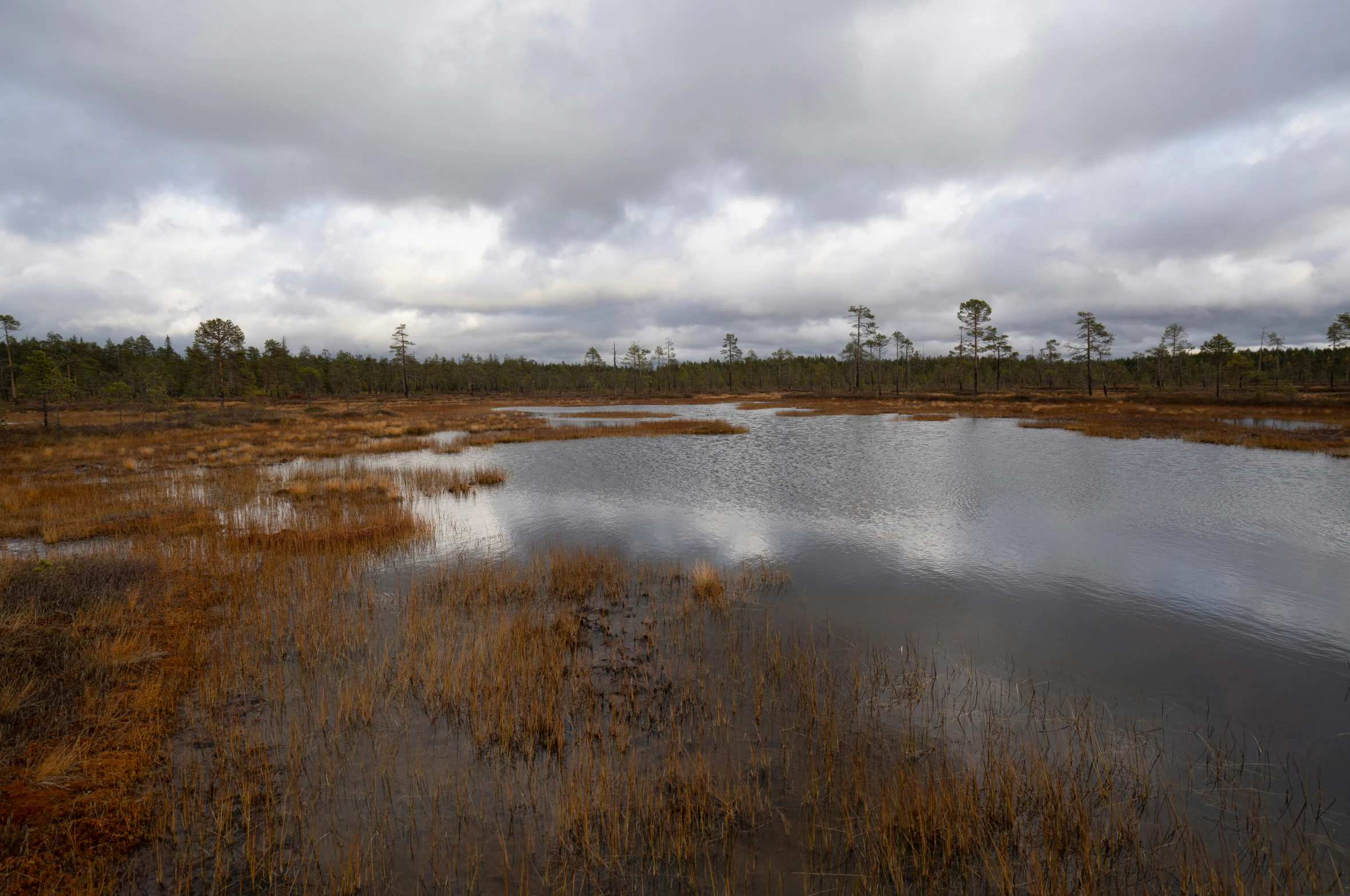 the ground is covered with wet mud