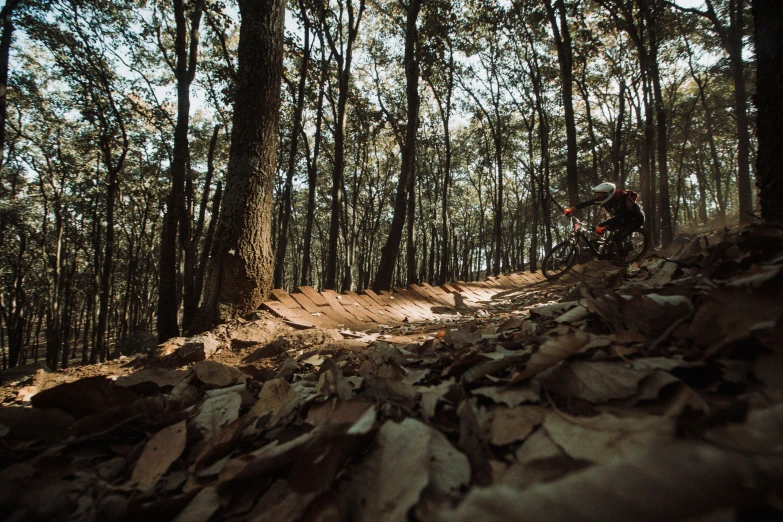 a person riding a dirt bike in the middle of a forest