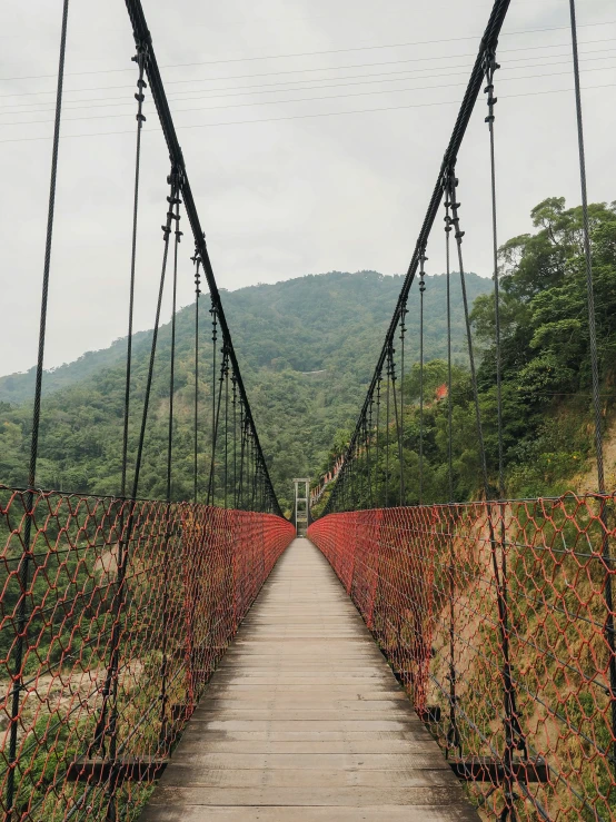 the bridge is over which there are many flowers