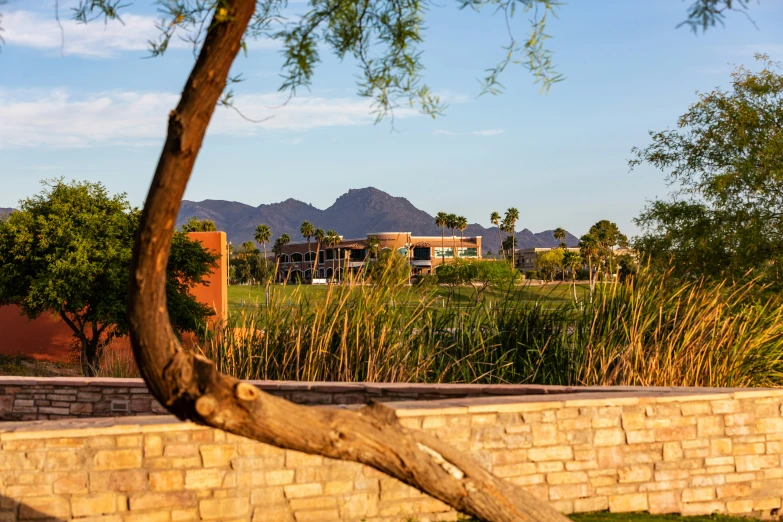 a wooden bench on a brick walkway in front of the mountains