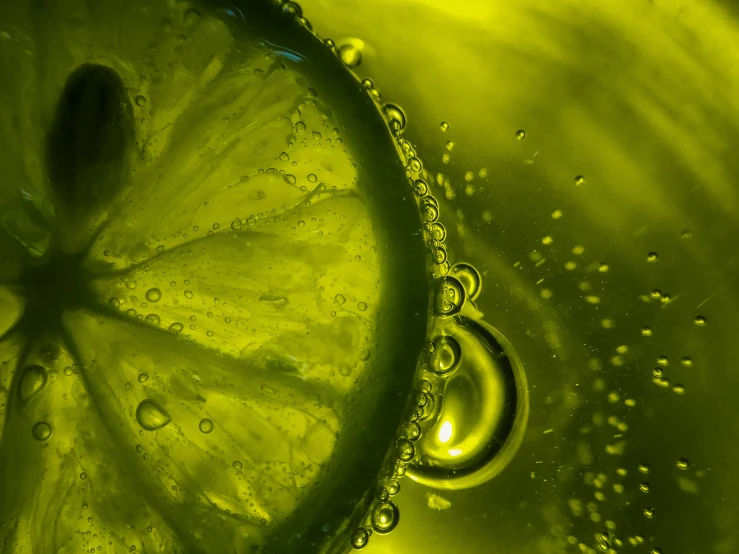 close up of a lime slice in a bowl of water