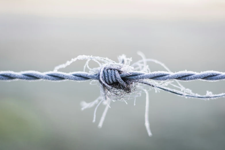 a close up s of a frozen barbed wire