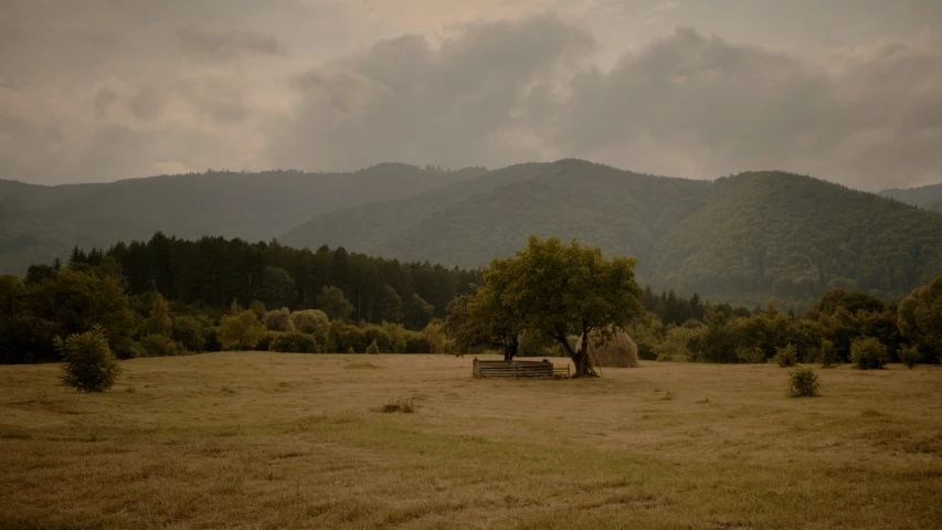 a bench in an open field with a mountain range behind it