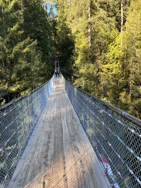 a long bridge in the woods between some trees