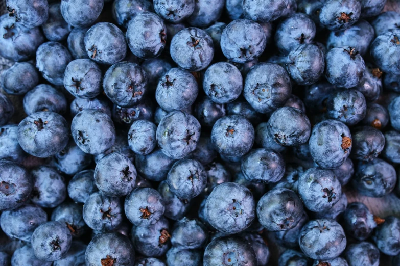 a pile of fresh blueberries on display