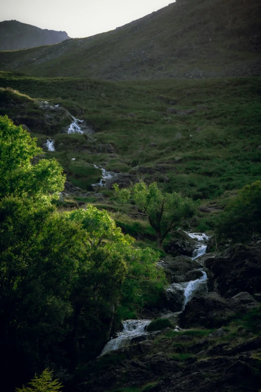 a mountain stream running through a lush green hillside