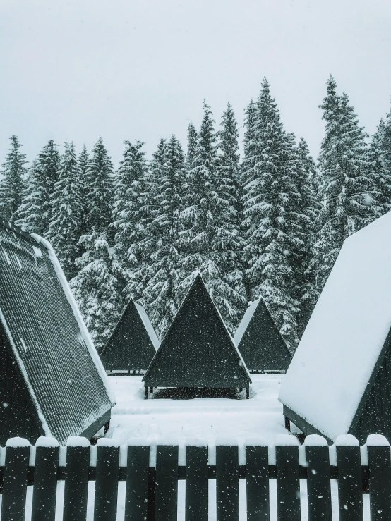 snow falls on trees and a fence in the snow