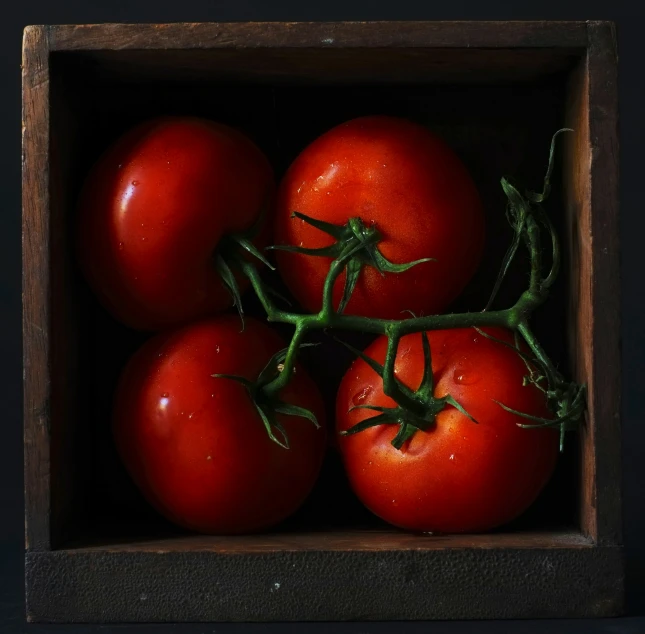 six red tomatoes with green stems on them