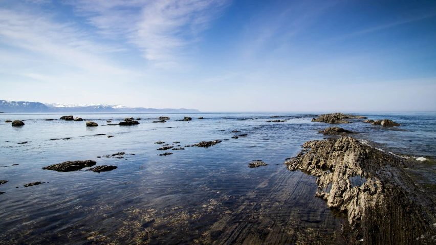 the ocean is very clean and ready for us to use