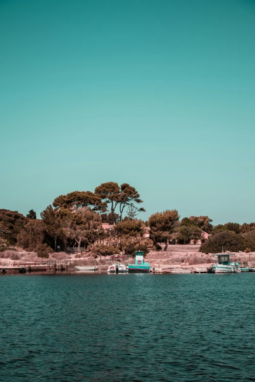 a view of boats and trees in a bay