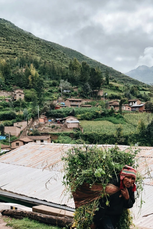 man lifting plants to the top of a house on the edge of a mountain