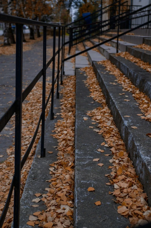 the black railing of steps are lined with autumn leaves