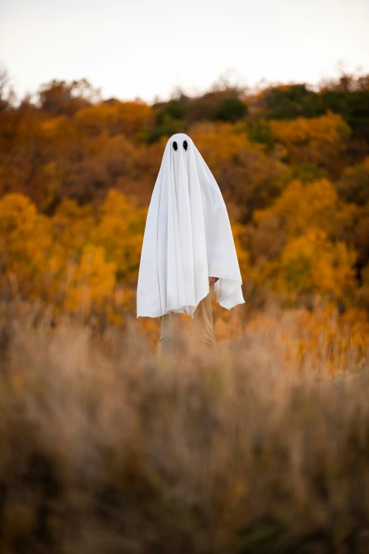 a ghost is peeking out from behind a white sheet