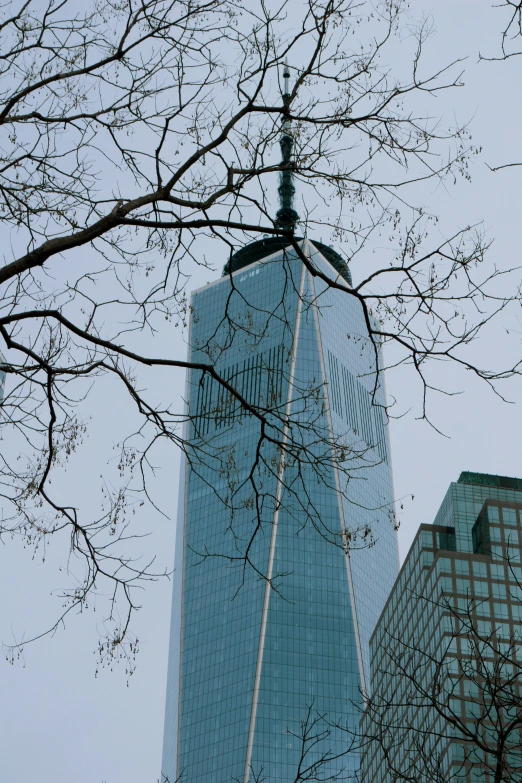 the top of the skyscr with trees below it