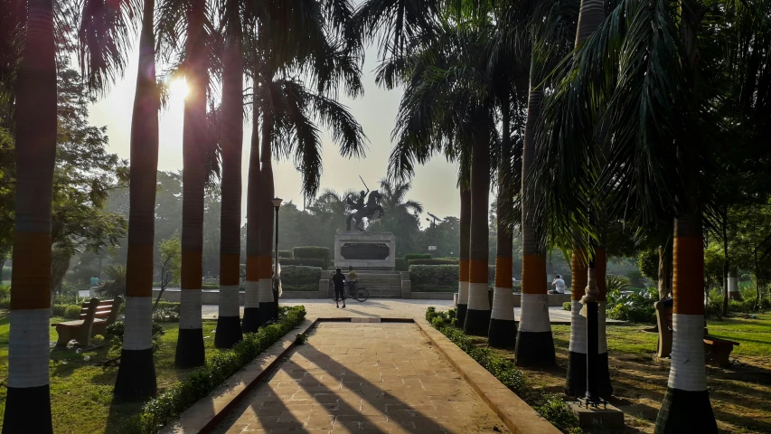 a person standing on a path in front of some trees