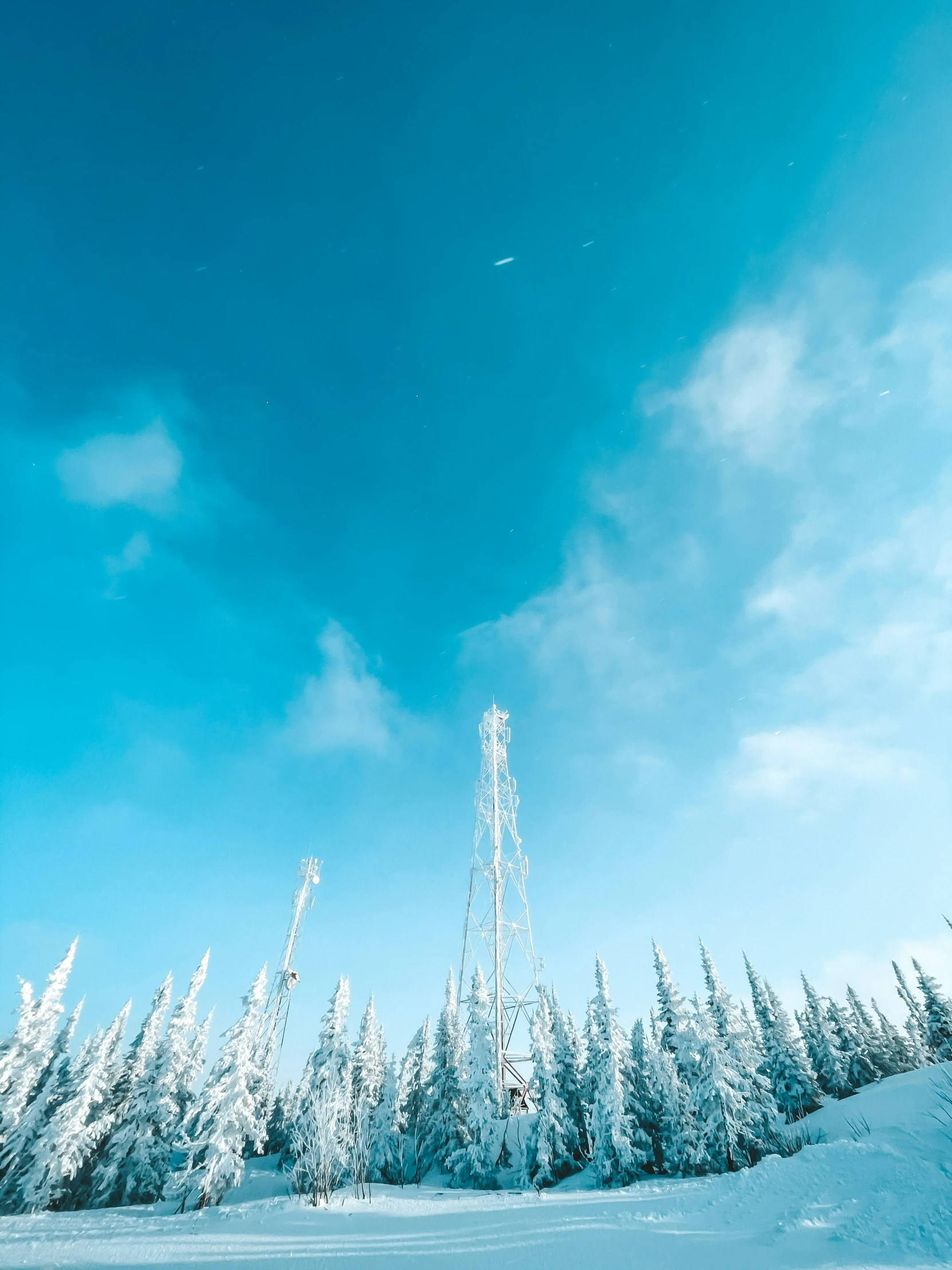 a person skis through a clearing near some trees