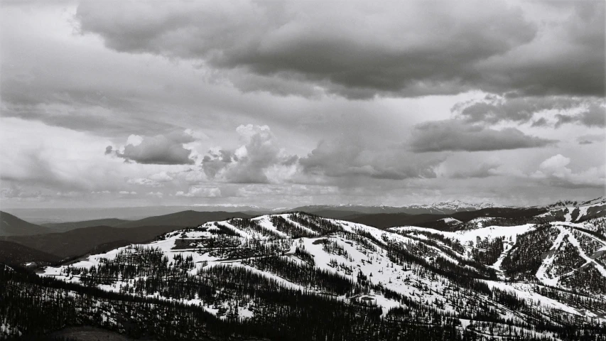 the landscape is black and white and has pine trees on both sides